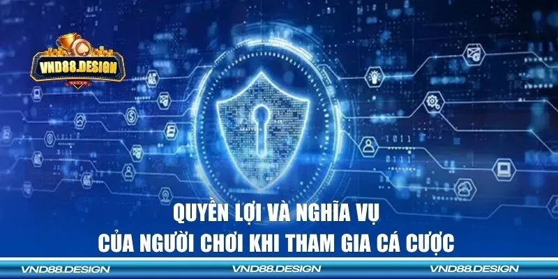 Quyền lợi và nghĩa vụ của người chơi khi tham gia cá cược