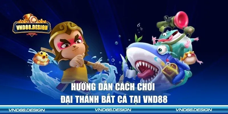 Những thông tin ngư thủ cần nắm khi tham gia săn cá