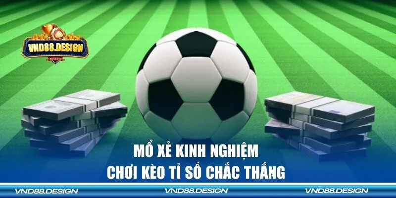 Mổ xẻ kinh nghiệm chơi cho tân binh mới